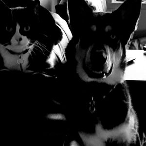 Meet your Posher, Henriet